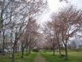 餯